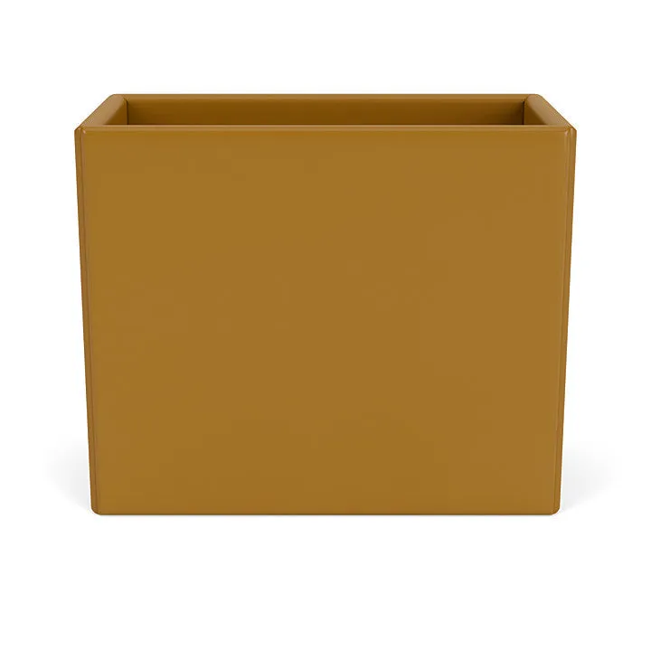 Montana Collect Organizer, Amber Yellow