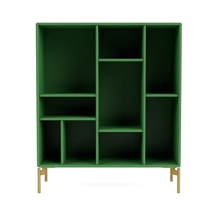 Montana Compile Decorative Shelf With Legs, Parsley/Brass